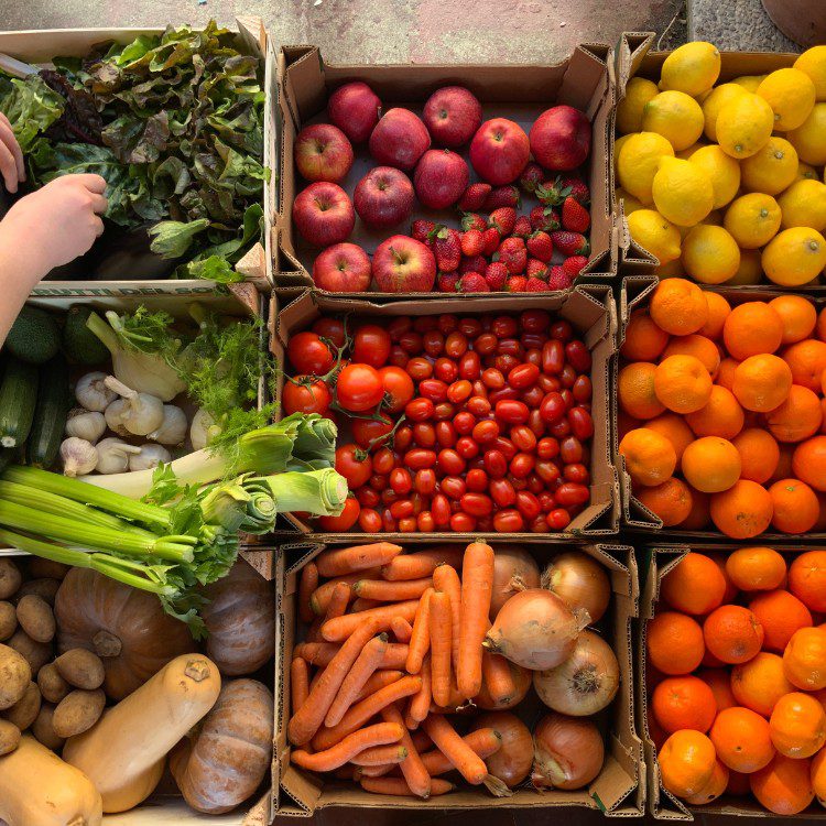 Fresh Fruits & Vegetables in Coatesville, PA